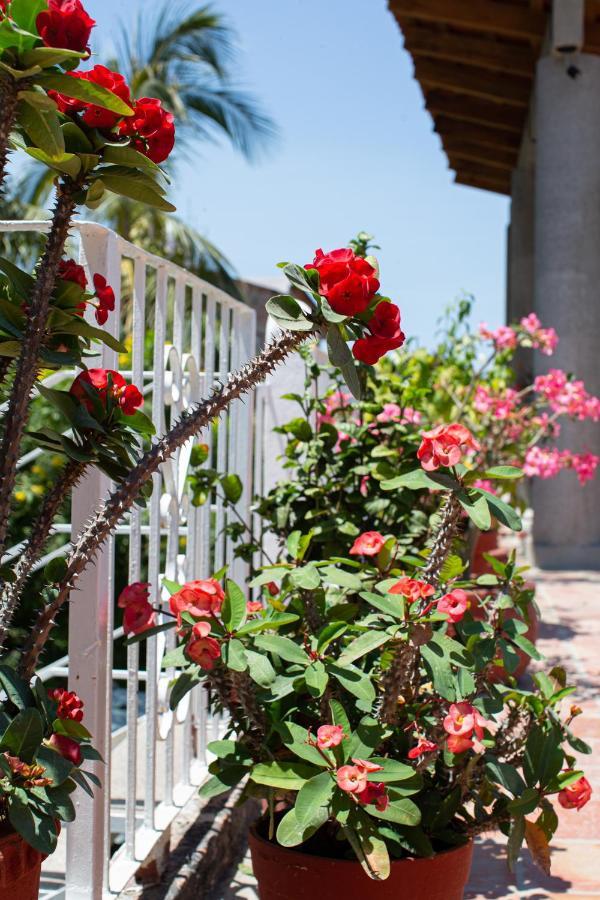 Casitas Miramar Puerto Vallarta Malecon Exterior foto